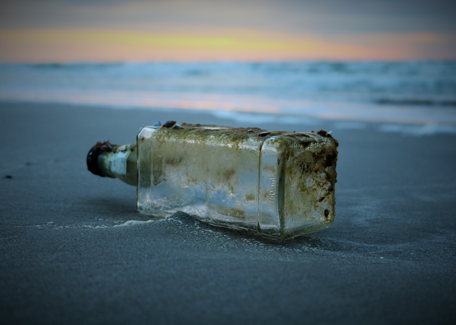 Dirty bottle lying at the edge of a beach